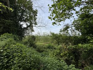 VIEW FROM CORNER OF KITCHEN GARDEN- click for photo gallery